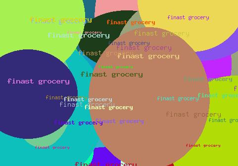 finast grocery